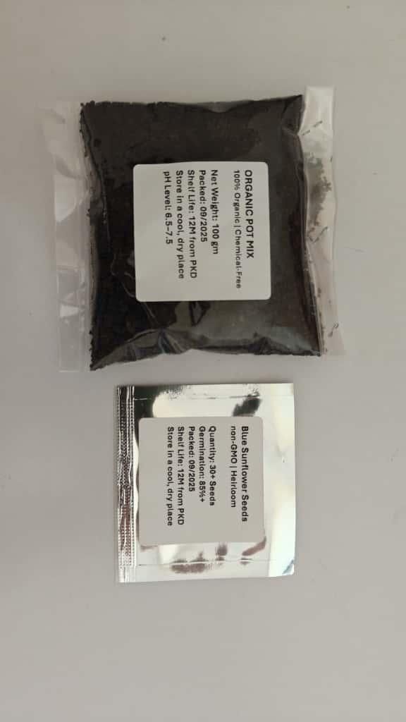 Blue Flame Sunflower Seeds + 100 Grams Organic Pot Mix Free — Premium